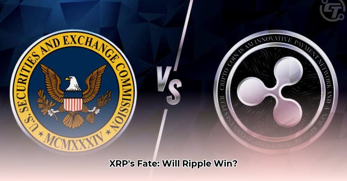 sec-vs-ripple-appeal